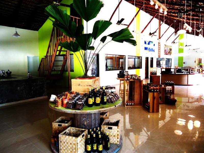 Museo del Cacao